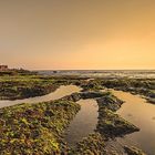 Tanah Lot