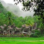 Tanah Toraja Dorf- Sulawesi