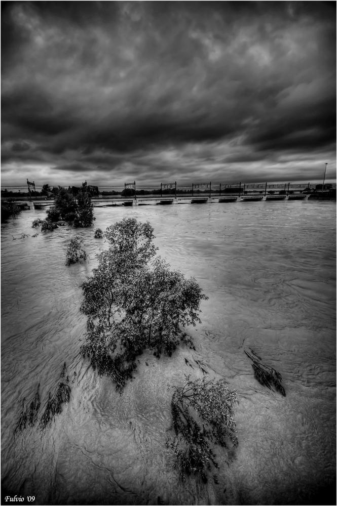 Tanaro 28 aprile 2009 - Alessandria: il ponte della ferrovia (bn)