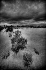 Tanaro 28 aprile 2009 - Alessandria: il ponte della ferrovia (bn)