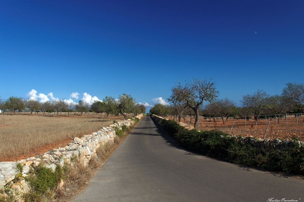 Tanca Mauer- typisch Mallorquin