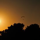 tandem flight on Versilia sundown