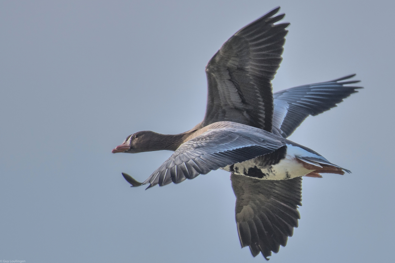 Tandem-Flug