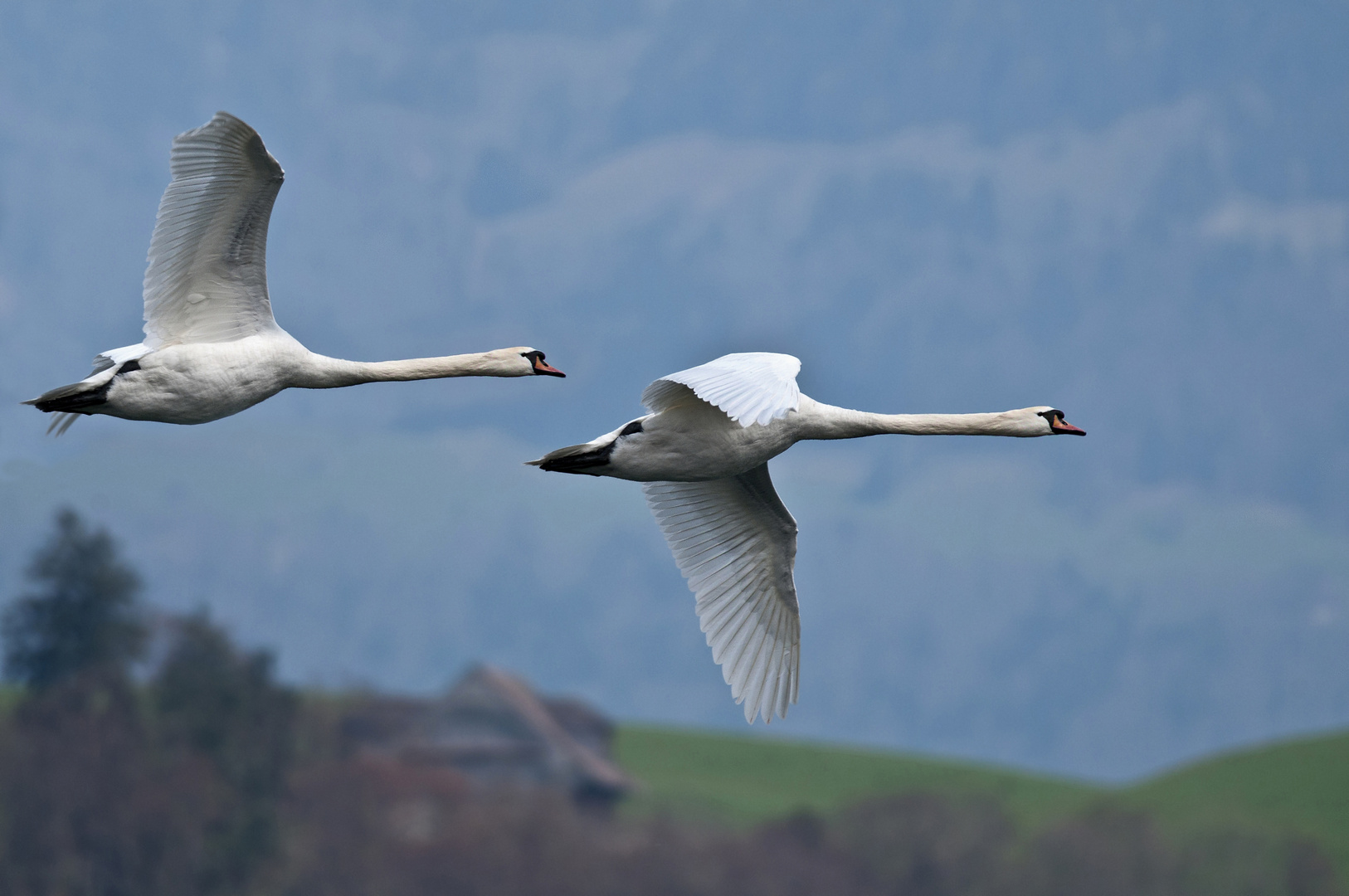 Tandemflug