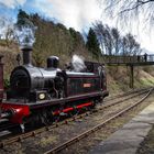 Tanfield railway 