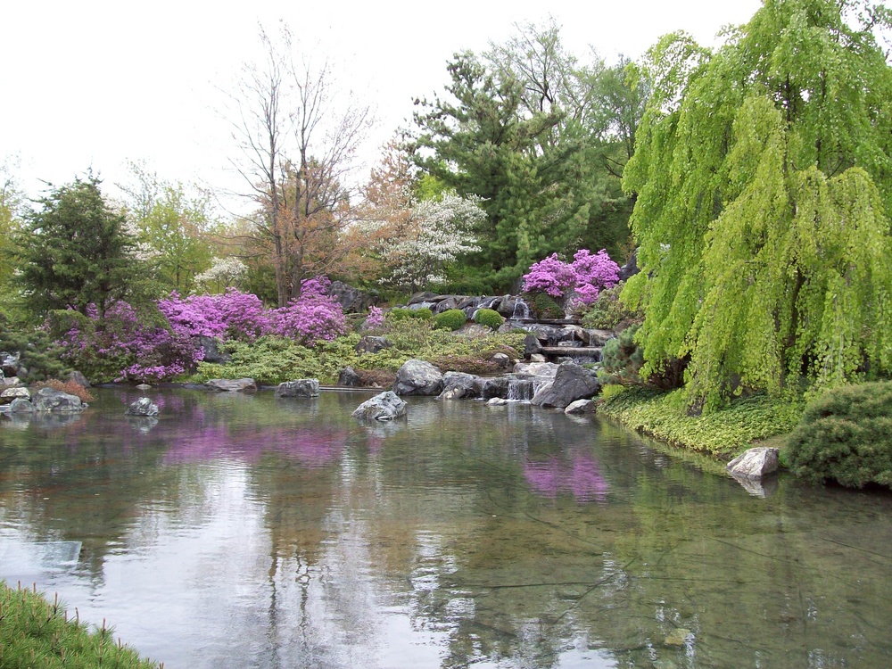 Étang au Jardin japonais