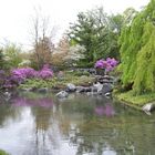 Étang au Jardin japonais
