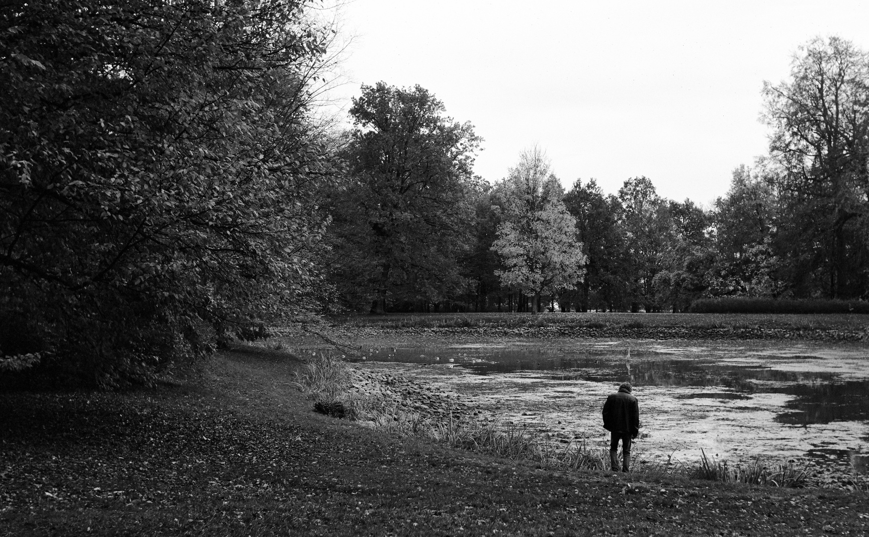 Étang dans le parc sans étang