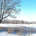 Étang de Chancelade Auvergne 