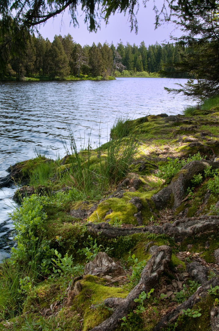 Étang de la Gruère