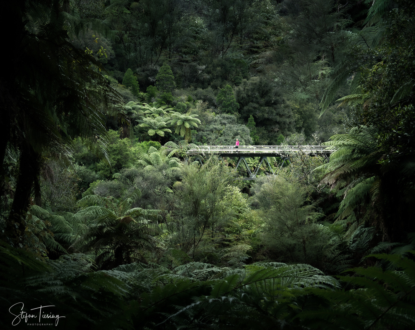 Tangarakau Bridge