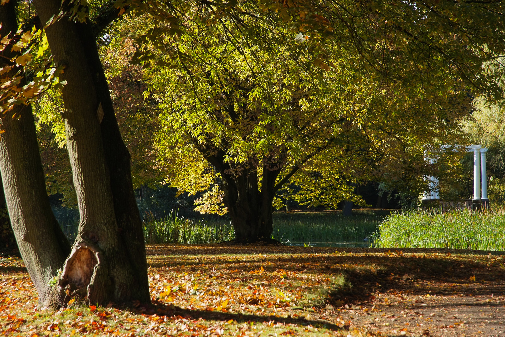 Tangerhütte - Stadtpark im Herbst 1