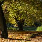 Tangerhütte - Stadtpark im Herbst 1