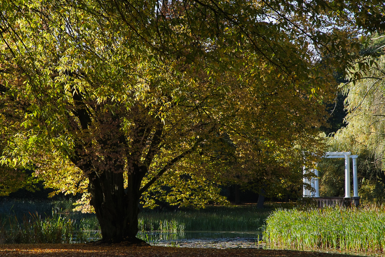 Tangerhütte - Stadtpark im Herbst 2