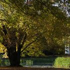 Tangerhütte - Stadtpark im Herbst 2