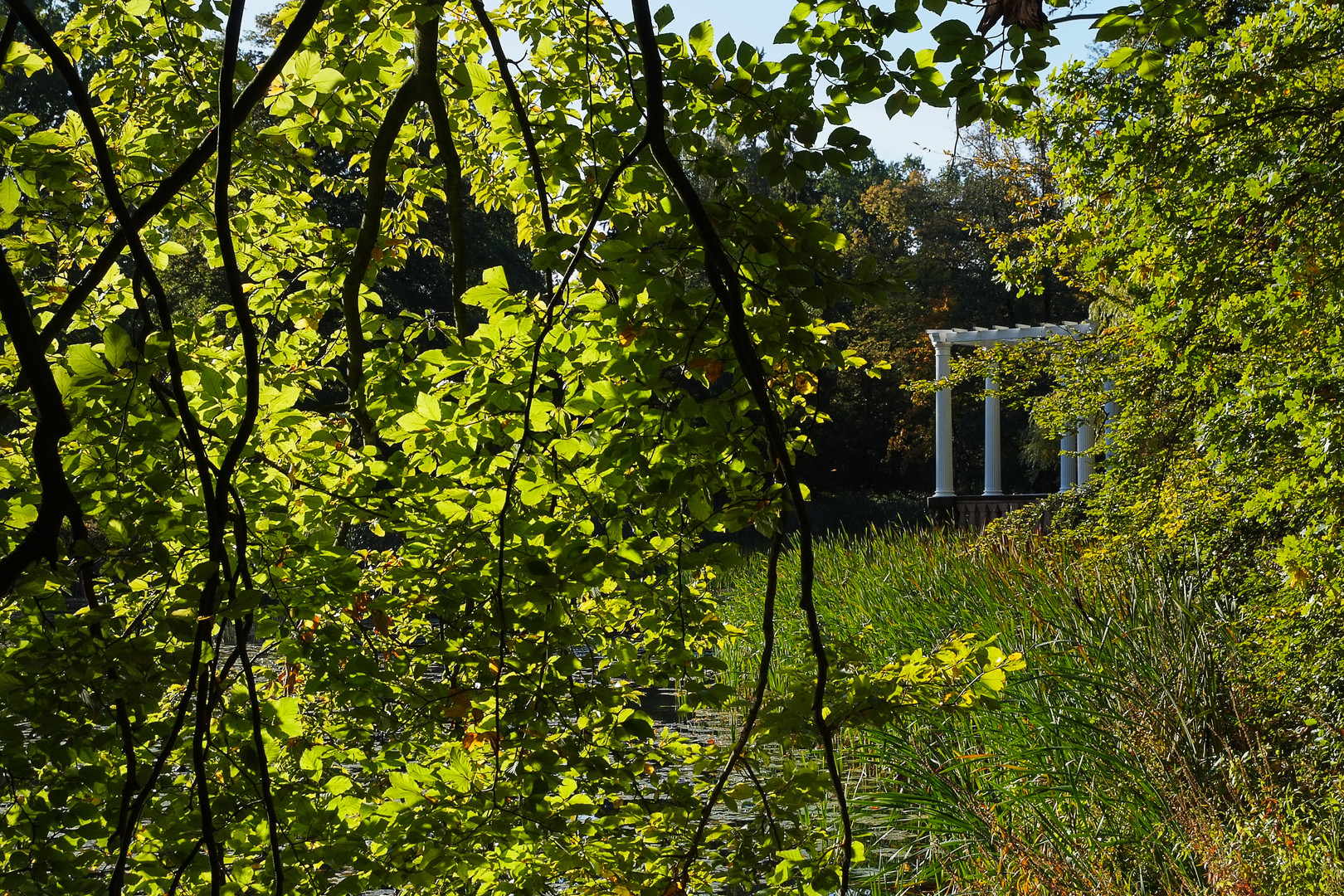 Tangerhütte - Stadtpark in Herbstfarben 3