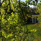 Tangerhütte - Stadtpark in Herbstfarben 3