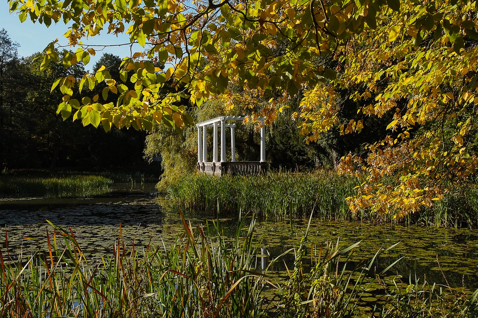 Tangerhütte - Stadtpark in Herbstfarben 5