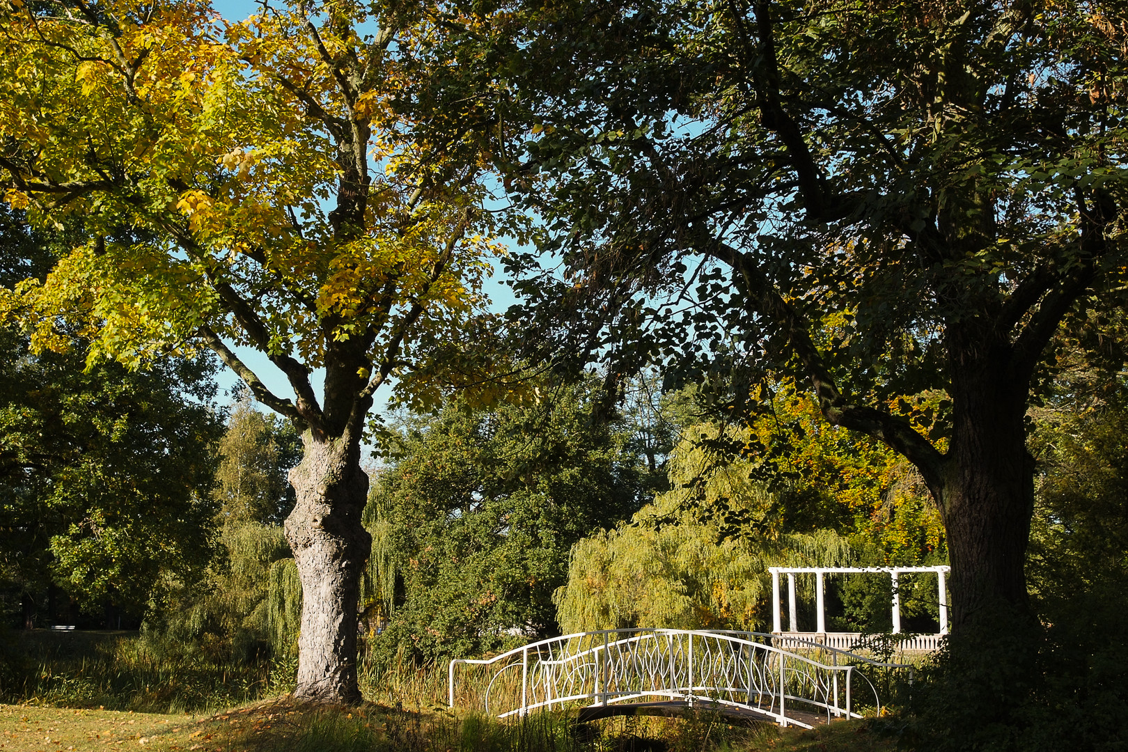 Tangerhütte - Stadtpark in Herbstfarben