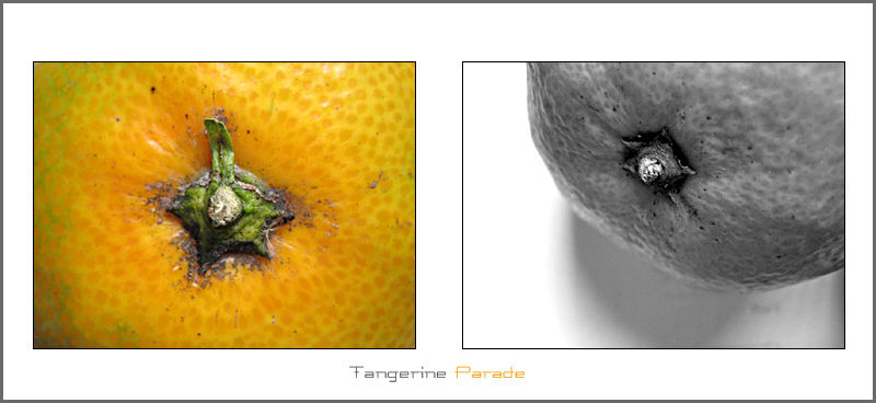 tangerine parade