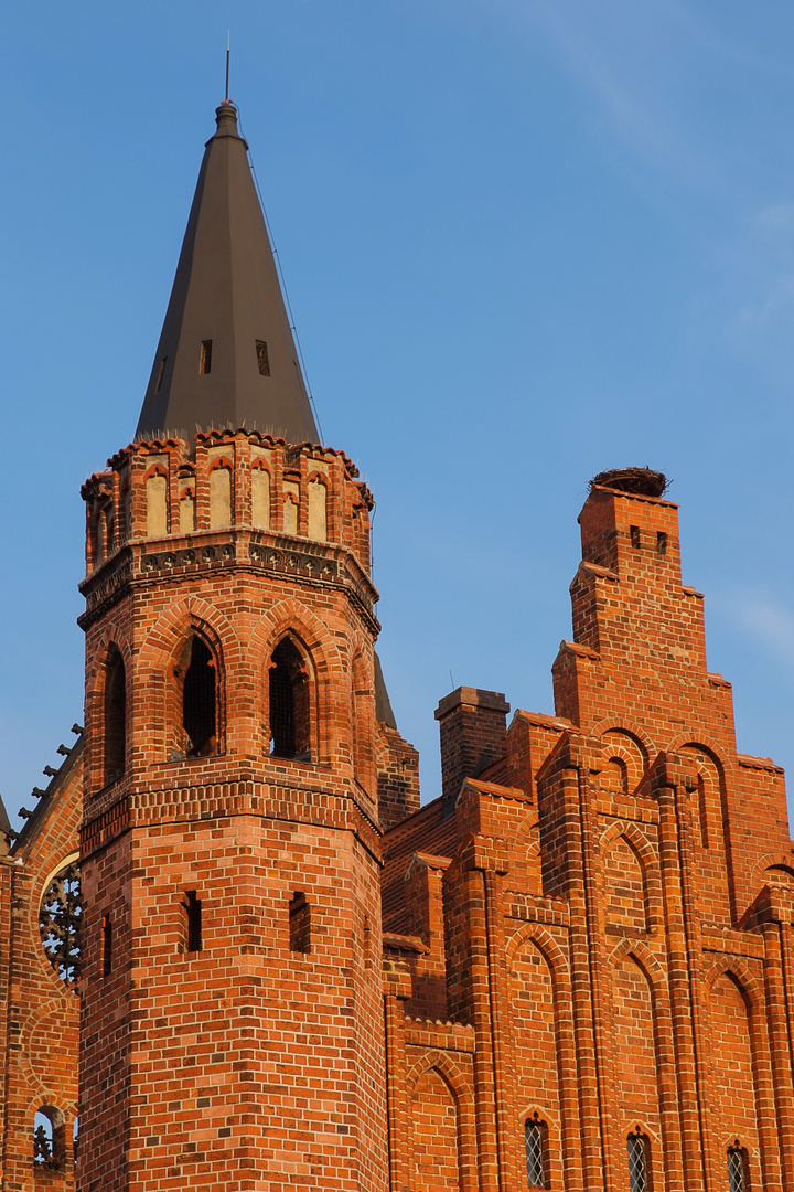 Tangermünde - historisches Rathaus