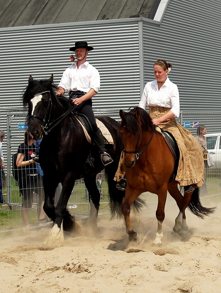 Tango zu Pferd