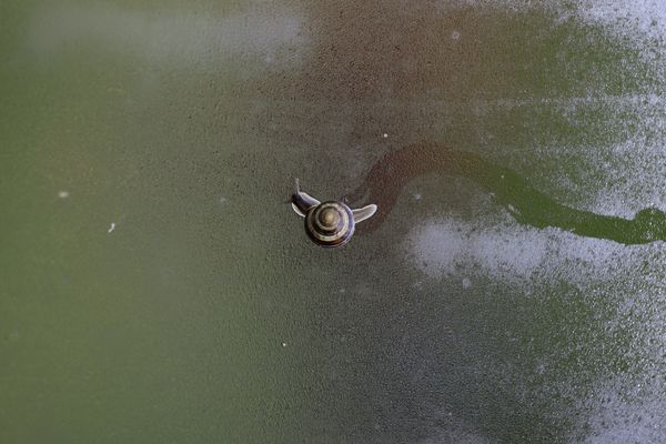 Tangstedt - in a hurry