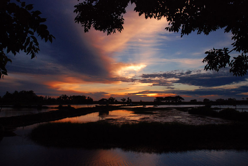 Tanjung Burung