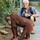 Tanjung Puting NP. Kalimantan/Borneo