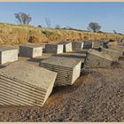 tank obstructions at alnmouth