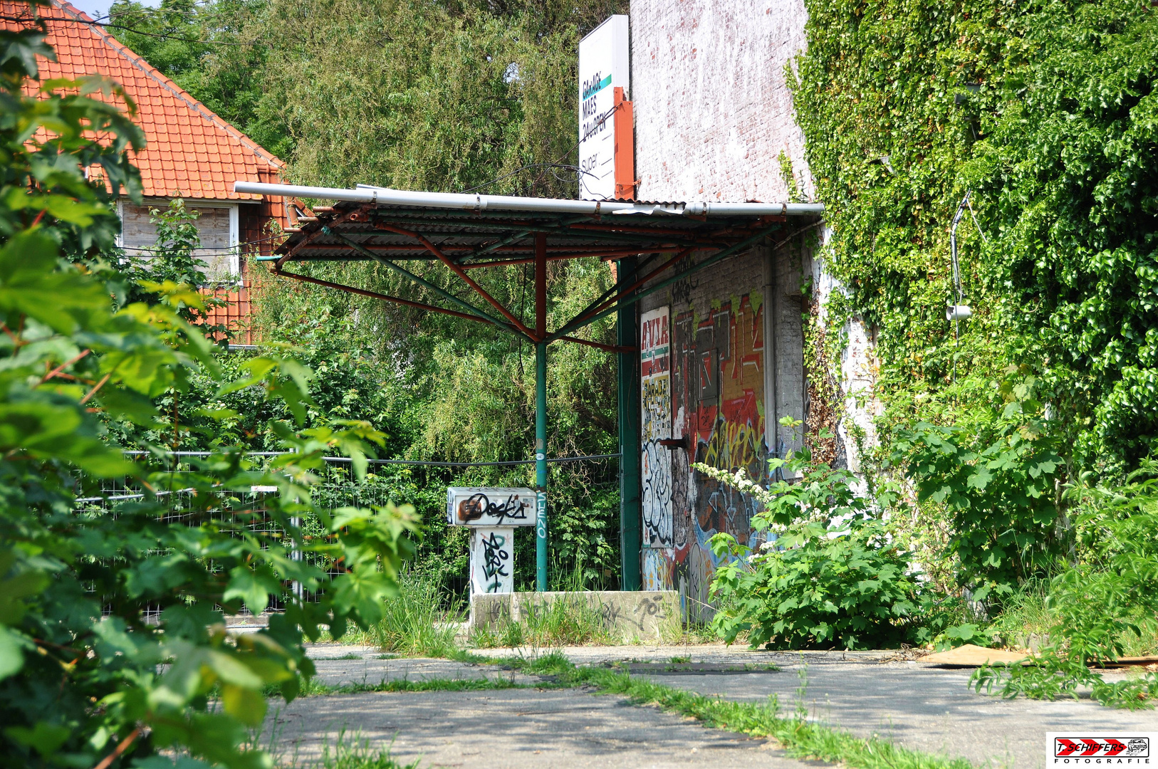 Tanke im Grünen