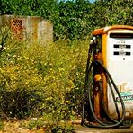 Tanken im Grünen