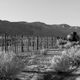 Tanker and Fence