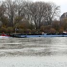 Tanker Ascona auf dem Rhein bei Lampertheim