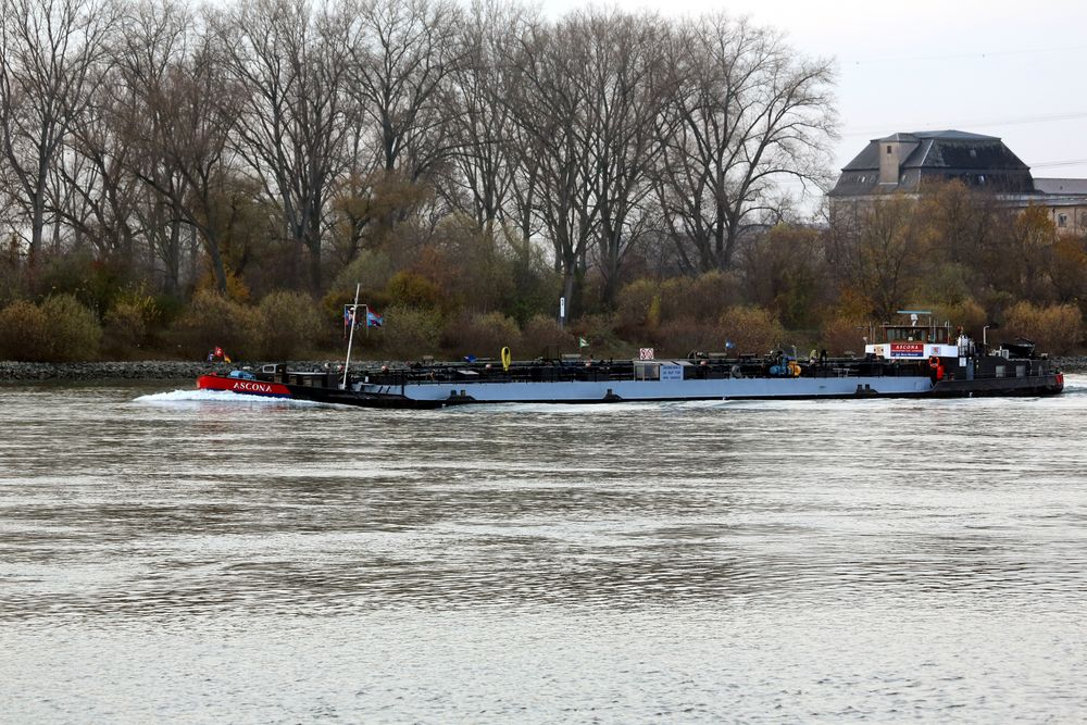 Tanker Ascona auf dem Rhein bei Lampertheim