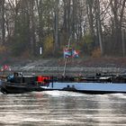 Tanker Ascona auf dem Rhein bei Lampertheim (Detail)