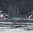 Tankerunglück auf dem Rhein in Höhe Loreley