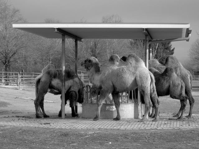 TankStelle