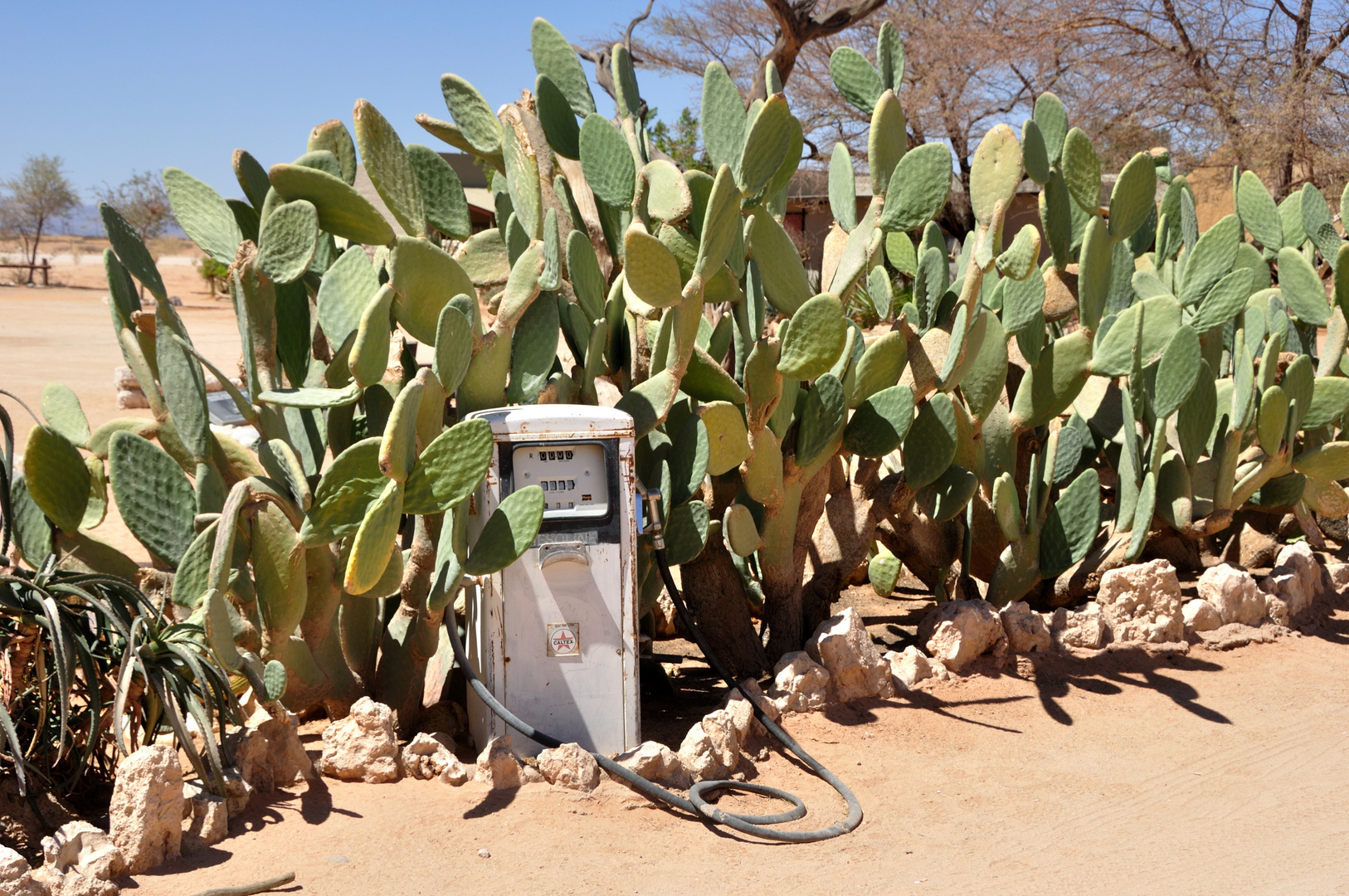 Tankstelle in Solitaire