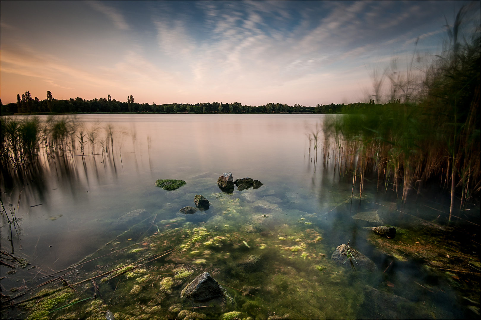 Tankumsee