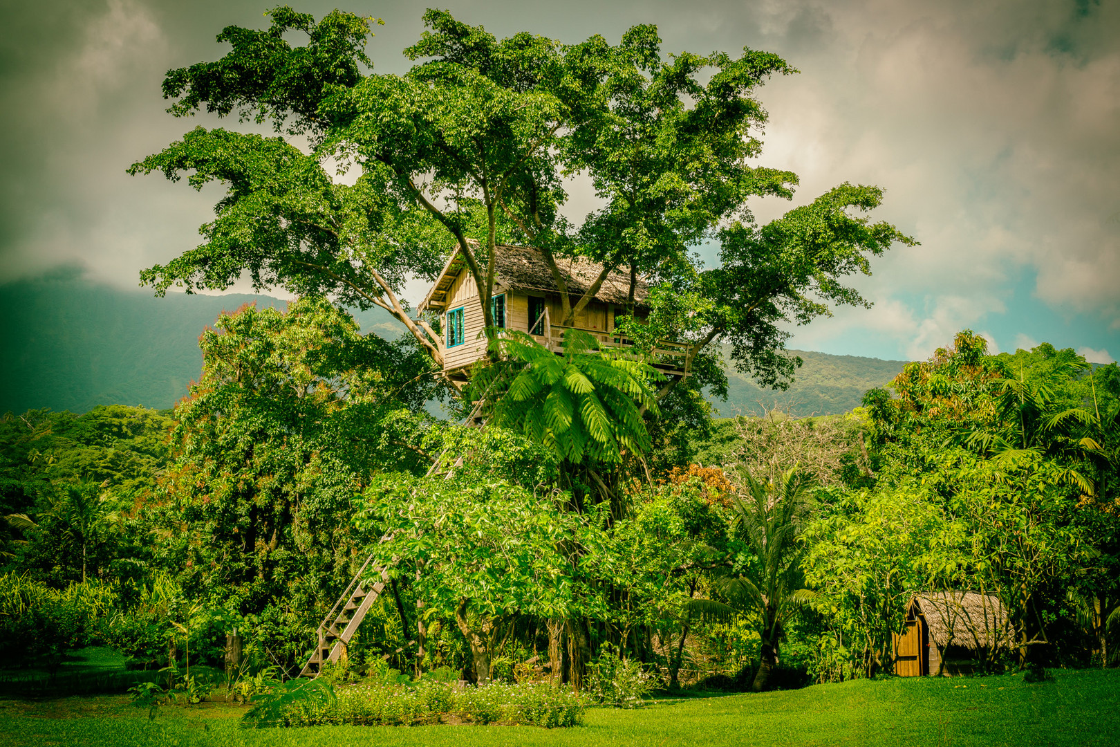 Tanna Tree House