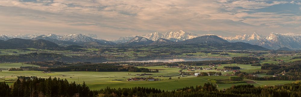 Tannberg Blick zum Wallersee