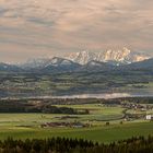 Tannberg Blick zum Wallersee