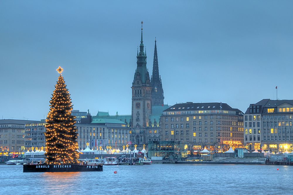 Tannenbaum Alster 2025 Alfie