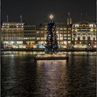 Tannenbaum auf der Binnenalster