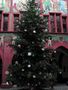 Tannenbaum im Rathaus Basel von Petra Suter