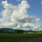 Tannenberg-Blick