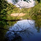 Tannenberger See