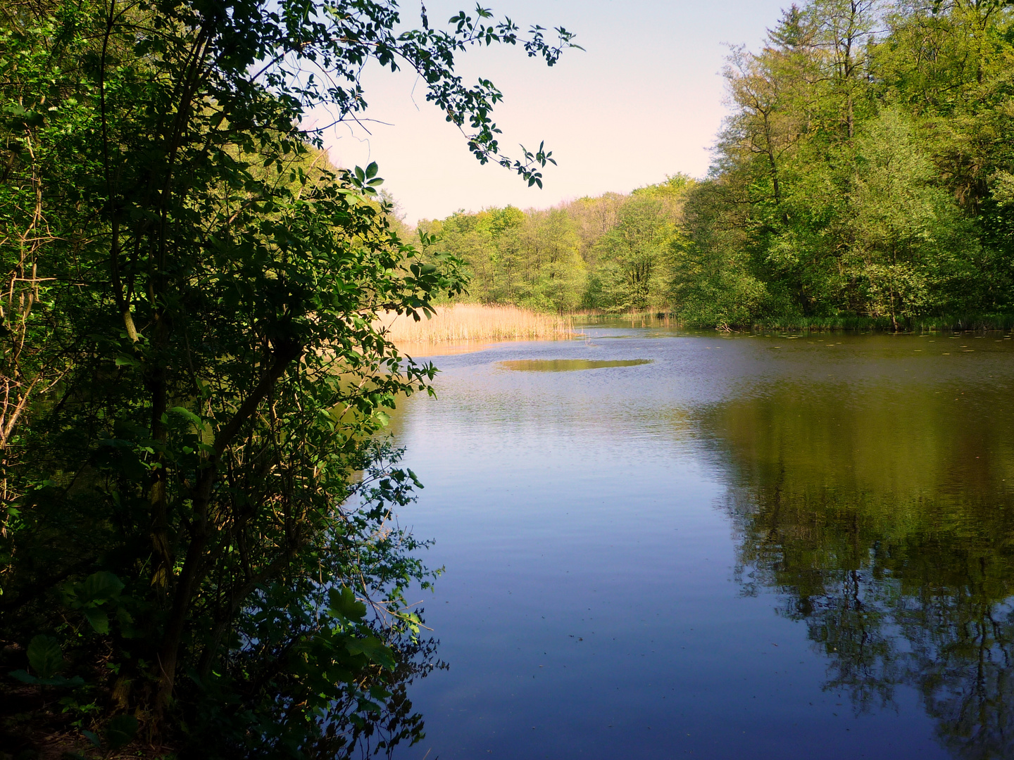 Tannenberger See