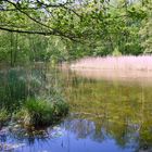 Tannenberger See